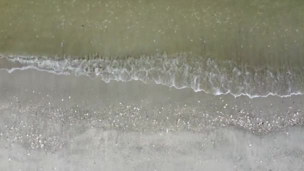 Lentamente Olhar Para Baixo Água Onda Suave Atingiu Concha Mar — Vídeo de Stock