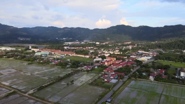 Widok Lotu Ptaka Balik Pulau Malays Village Pobliżu Pola Ryżowego — Wideo stockowe