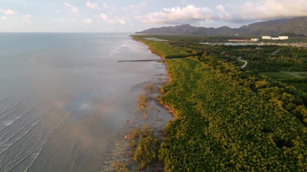 Widok Lotu Ptaka Ładne Światło Słoneczne Lesie Namorzynowym Balik Pulau — Wideo stockowe