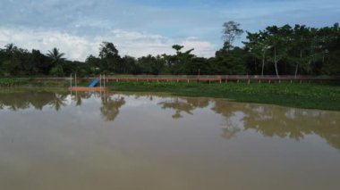 Nehir kıyısının yanındaki köprü yansımasına doğru sinematik hareket