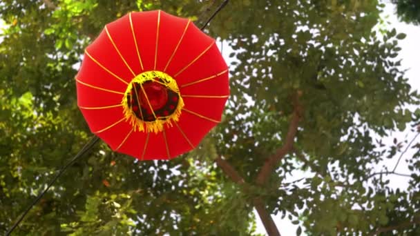 Red Lantern Hang Tree View Bottom — Video