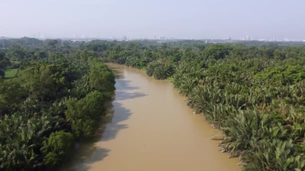 Gerakan Udara Pohon Nipah Tumbuh Sungai Malaysia — Stok Video