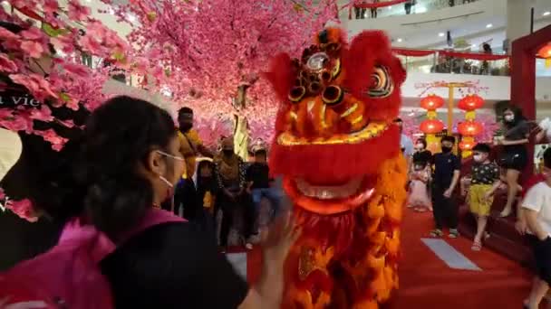 2022年2月5日 马来西亚槟城 在中国新年期间 戴面具的女孩对舞狮表演感兴趣 — 图库视频影像