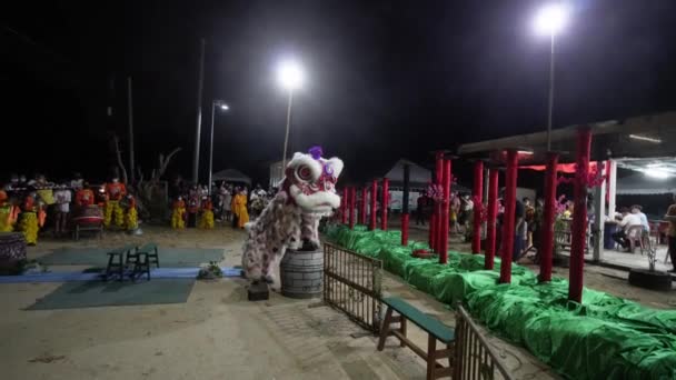 Georgetown Penang Malaysia Feb 2022 Χορευτική Παράσταση Λιονταριού Νύχτα — Αρχείο Βίντεο