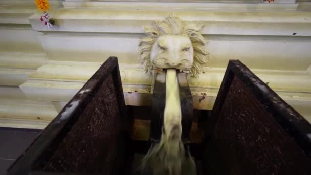 マレーシアのペナン州ブキッ メルタジャム2022年3月18日 スリマリアマン寺院への供物の後 ライオンの頭の口から牛乳を注ぐ — ストック動画