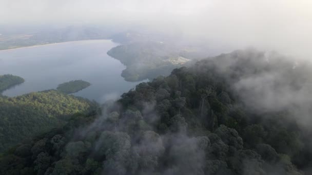 Aerial Move Rainforest Mengkuang Lake — Video Stock