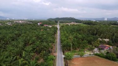 Yağ palmiyesi arazisinde daha az araba trafiği olan kırsal asfalt yolu Batu Kawan