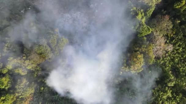 Luftaufnahme Zeigt Offenes Feuer Der Nähe Von Waldplantage Malaysia — Stockvideo