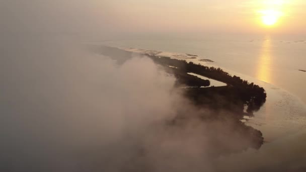 Aerial View Smoke Due Fire Burn Sunshine Evening Mangrove Forest — Stok video