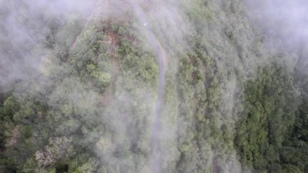 Aerial View Asphalt Path Low Fog Cloud Highland Malaysia — Video Stock