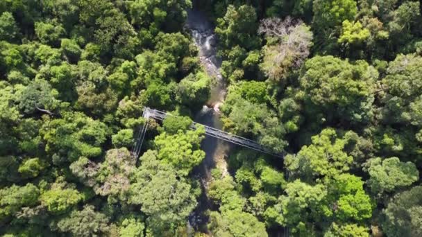 Vista Aérea Sungai Sedim Paseo Por Parte Superior Del Árbol — Vídeos de Stock