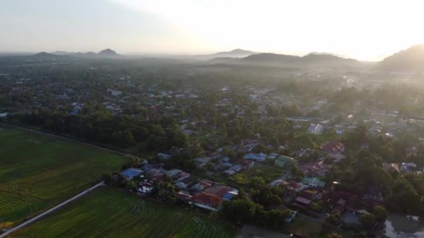 Morgensonne Malaiischem Dorf Neben Reisfeld — Stockvideo