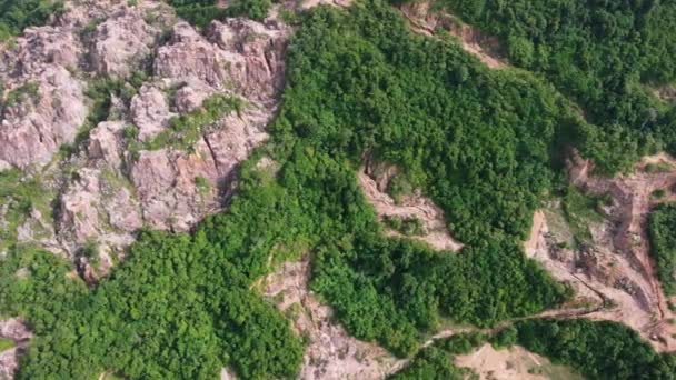 Letecký Pohled Červená Jílovitá Půda Těžbě Blízkosti Lesa Malajsii — Stock video
