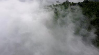 Malezya 'daki dağlık yağmur ormanlarında hava manzarası alçak sisli bulut