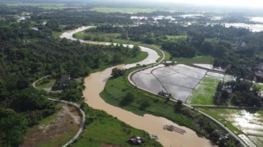 Kırsal çeltik tarlasında hava manzaralı eğri nehir.