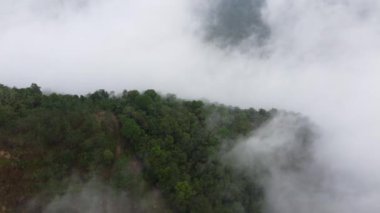 Hava manzaralı sisli alçak sis bulutu ormanı ve ekinleri kaplıyor.