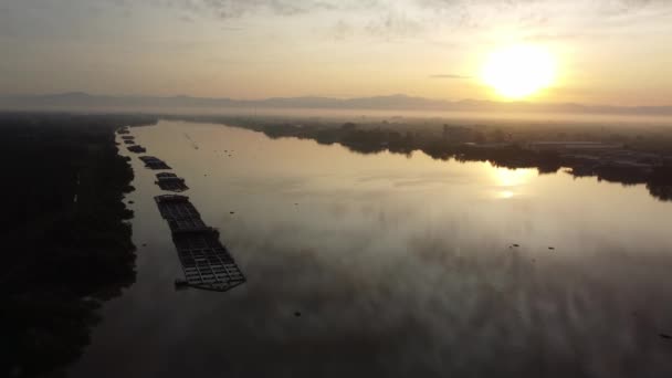 Vista Aerea Allevamento Ittico Kelong Mattino Alba Sungai Perak — Video Stock