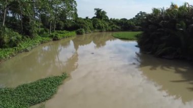 Güneşli bir günde Kahverengi Nehir 'de sinematik bir hareket