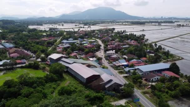 Luftaufnahme Malaien Kampung Haus Neben Wasser Flut Reisfeld — Stockvideo