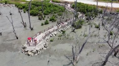Sitiawan, Perak, Malezya - 01 Mayıs 2022: Hava manzaralı turist ziyareti ve kıyıya yakın kuru mangrov ağacı manzarası