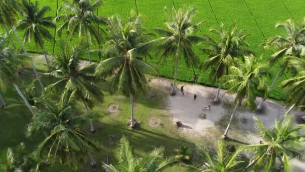 Seberang Perai Penang Malaysia May 2022 Aerial View Family Play — 图库视频影像