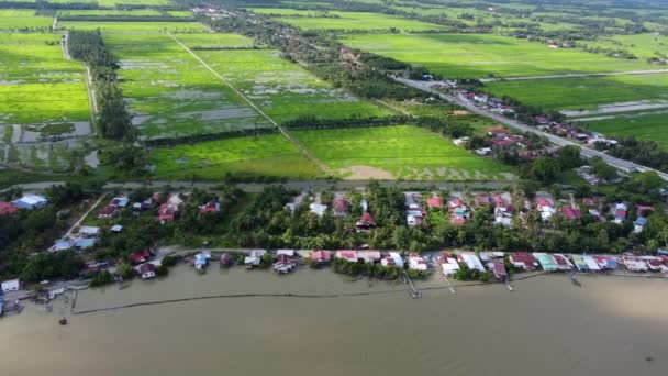 Pemandangan Udara Desa Nelayan Samping Sungai — Stok Video