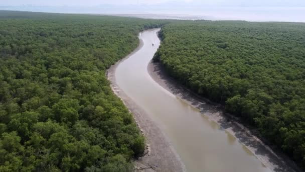 Flygfoto Fiskebåt Tillbaka Från Havet Flytta Över Floden Vid Mangrove — Stockvideo