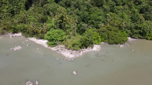 Vista Aérea Playa Costera Con Cocotero Zona Despoblada — Vídeos de Stock