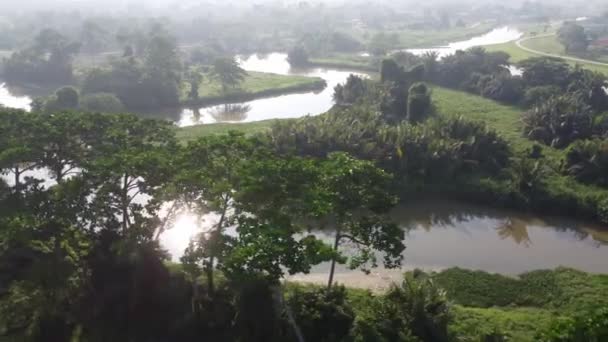 Morgensonnenlicht Fluss Sungai Perai — Stockvideo