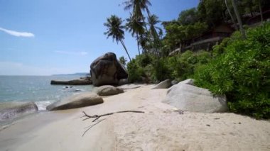 Hindistan cevizi ağaçlarını ve kumsalın yanındaki kulübeyi kaldır.