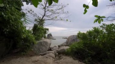 Bitkinin üzerinden sahildeki büyük kayaya doğru ilerleyin.