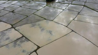 Hava manzarası aşağı bakıyor, çeltik tarlası sular altında.