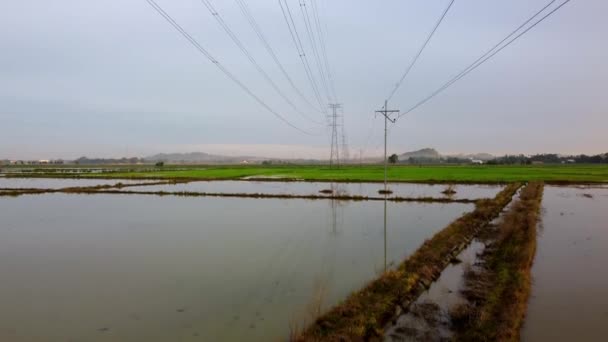 Luchtvaart Beklimming Van Elektrische Kabel Het Water Paddy Veld — Stockvideo