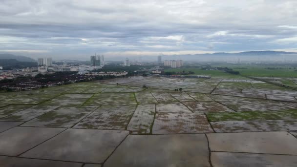 Déplacement Cinématographique Aérien Sur Rizière Près Bandar Perda — Video