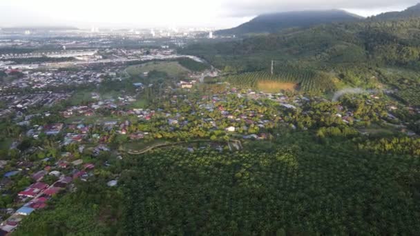 Pemandangan Udara Memandang Bawah Desa Dekat Perkebunan Kelapa Sawit Bawah — Stok Video