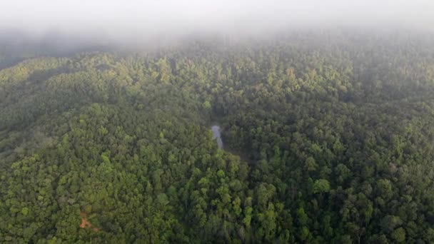 Luftfoto Morgen Tåget Sky Dække Regnskoven – Stock-video