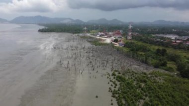 Pasir Panjang, Perak 'taki mangrov ağacının havadan görünen kuru kıyısı.