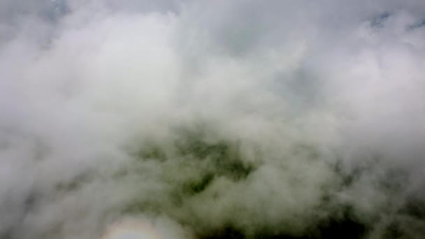 Letecký Pohled Ranní Mlhavý Mrak Nad Deštným Pralesem — Stock video