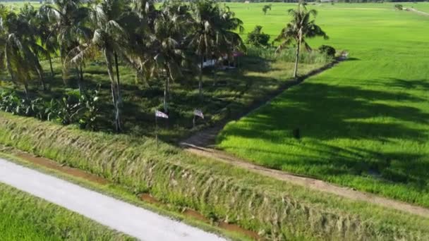 Vista Aérea Bandeira Malásia Acenando Fazenda Coco — Vídeo de Stock
