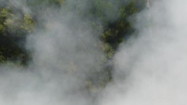 Ormanda çöplerin yanmasından kaynaklanan hava manzaralı hızlı hareket dumanı.