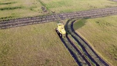 Çeltik tarlasına inen sarı hasat aracı.