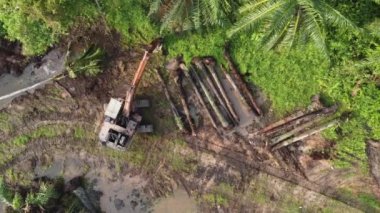 Arazi temizliği sırasında havadan aşağıya bakan kazıcı yağ palmiyesini birlikte düzenler