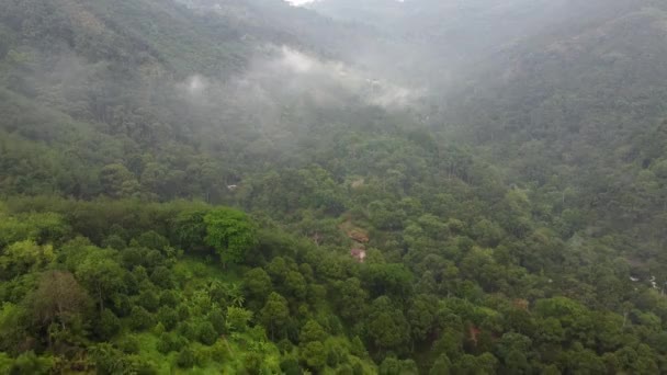 マレーシアのペナンにあるデュリアン プランテーションの農村への空中移動森の近く — ストック動画
