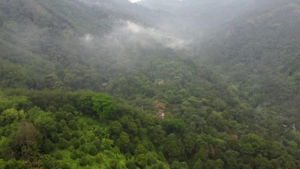 Traslado Aéreo Sobre Aldea Rural Plantación Durian Penang Malasia Cerca — Vídeos de Stock