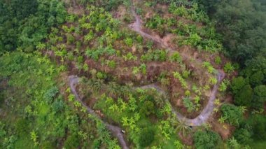Muz ağaçlarıyla çevrili kırsal alanda hava hareketi