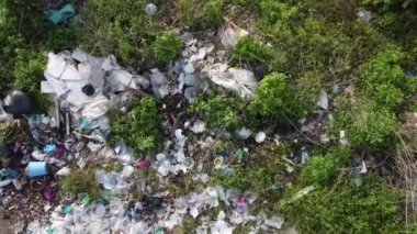 Kırsal yeşil yemyeşil yemyeşil bölgenin yakınına atılan çöplerin üzerinde uçan uçan bir sinek.