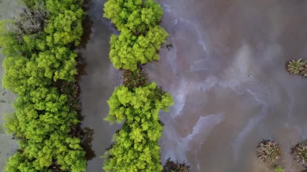 Uitzicht Vanuit Lucht Naar Beneden Kijken Chemische Vervuiling Bij Water — Stockvideo