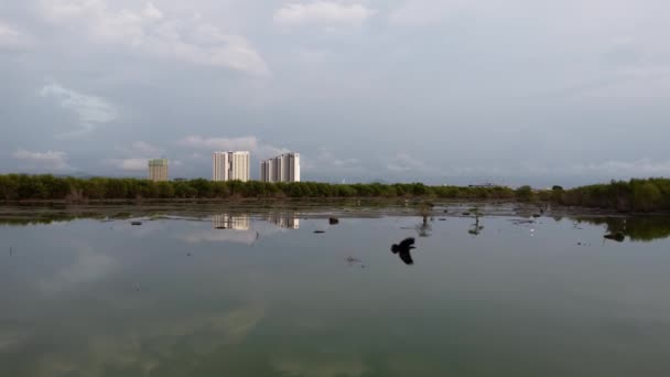 Vogelschutzgebiet Des Trockenen Wassers Teich Feuchtgebiet Und Wohnanlage — Stockvideo