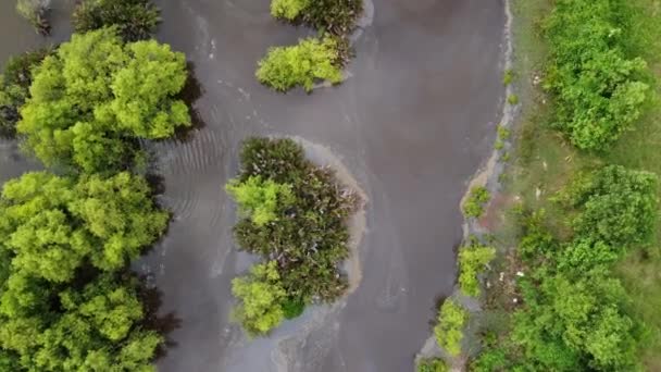 Vista Aérea Contaminación Del Agua Estanque Cerca Los Humedales — Vídeos de Stock