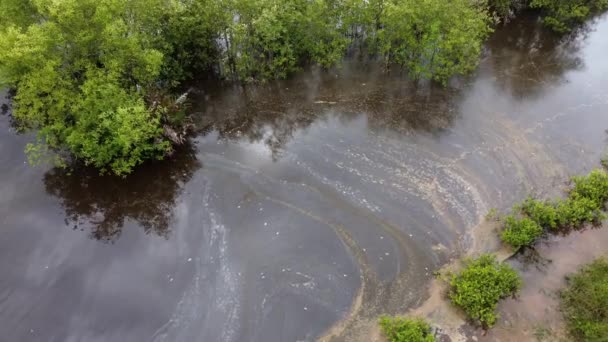 空中回転ビュー湿地での化学水汚染 — ストック動画